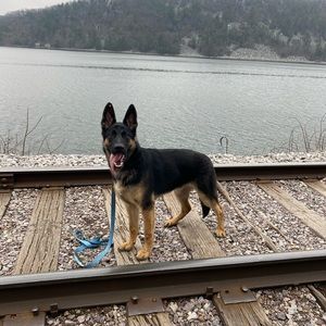 Meet your Posher, Jaelyn